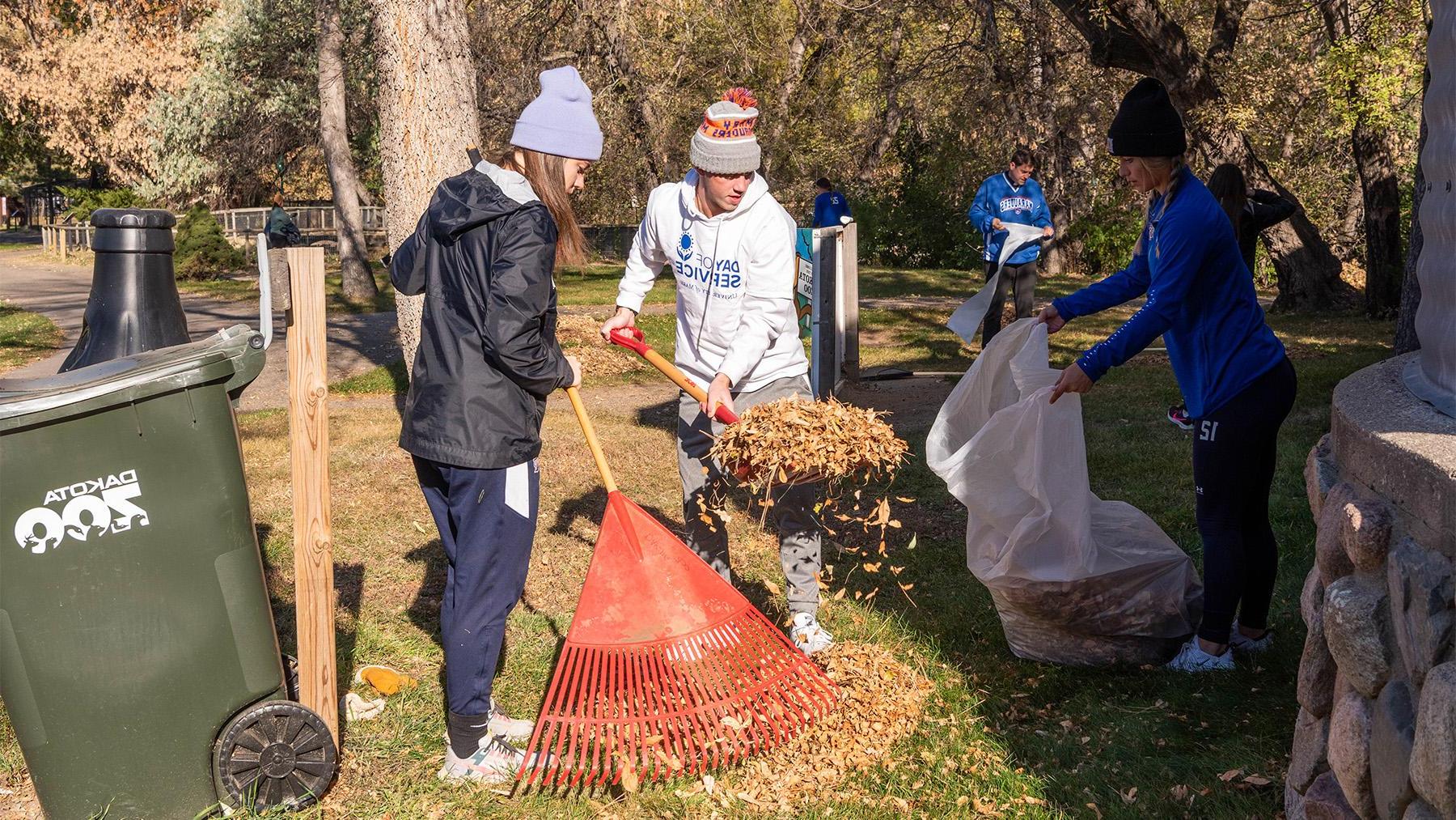 Day of 服务 raking at the zoo